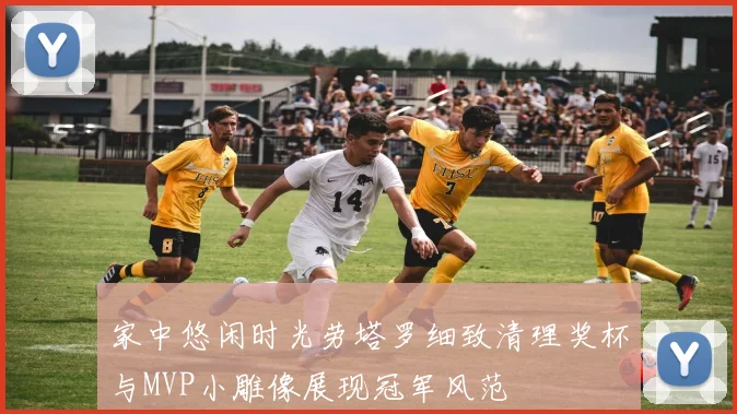 家中悠闲时光劳塔罗细致清理奖杯与MVP小雕像展现冠军风范