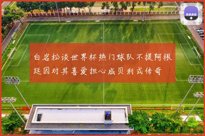 白岩松谈世界杯热门球队不提阿根廷因对其喜爱担心成贝利式传奇