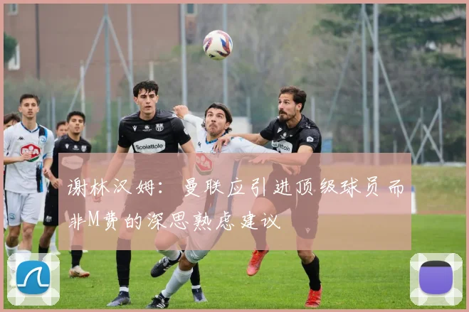 谢林汉姆：曼联应引进顶级球员而非M费的深思熟虑建议