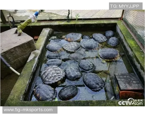 库尔图瓦谈老鼠事件表示绝不会伤害小动物将其安全放生